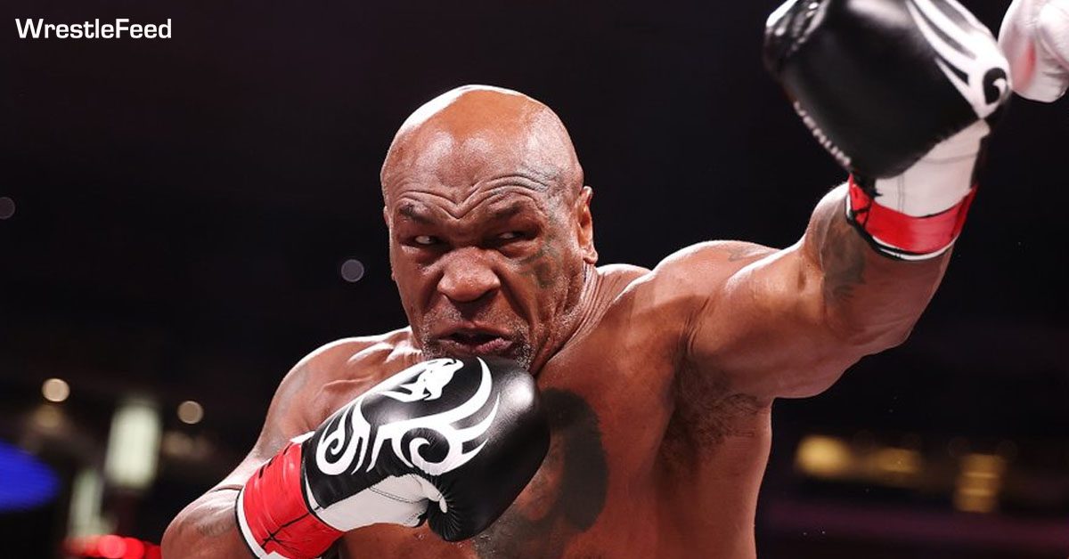 Viewership For Mike Tyson vs. Jake Paul On Netflix Revealed [Video]