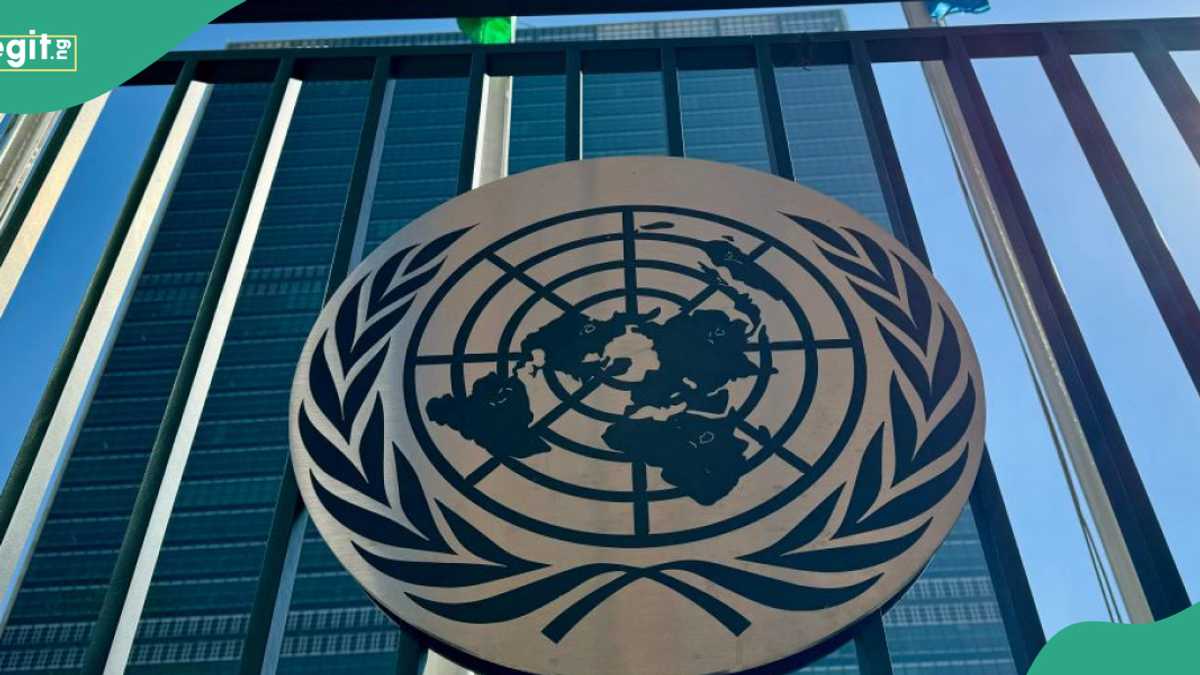 Apply Now: United Nations Announces Job Vacancy in Nigeria [Video]