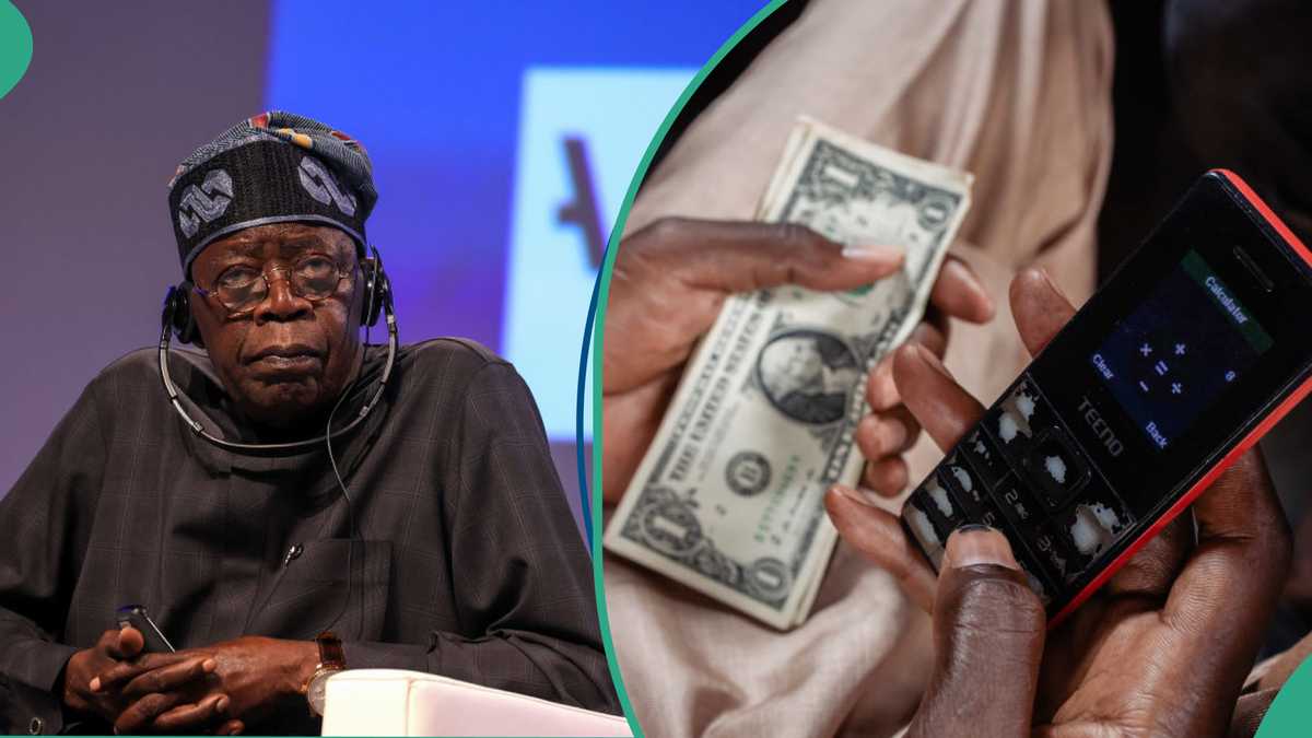 FG Sets Naira to Dollar Exchange Rate Target in 2025 Budget, Expert Disagrees, Gives Reason [Video]