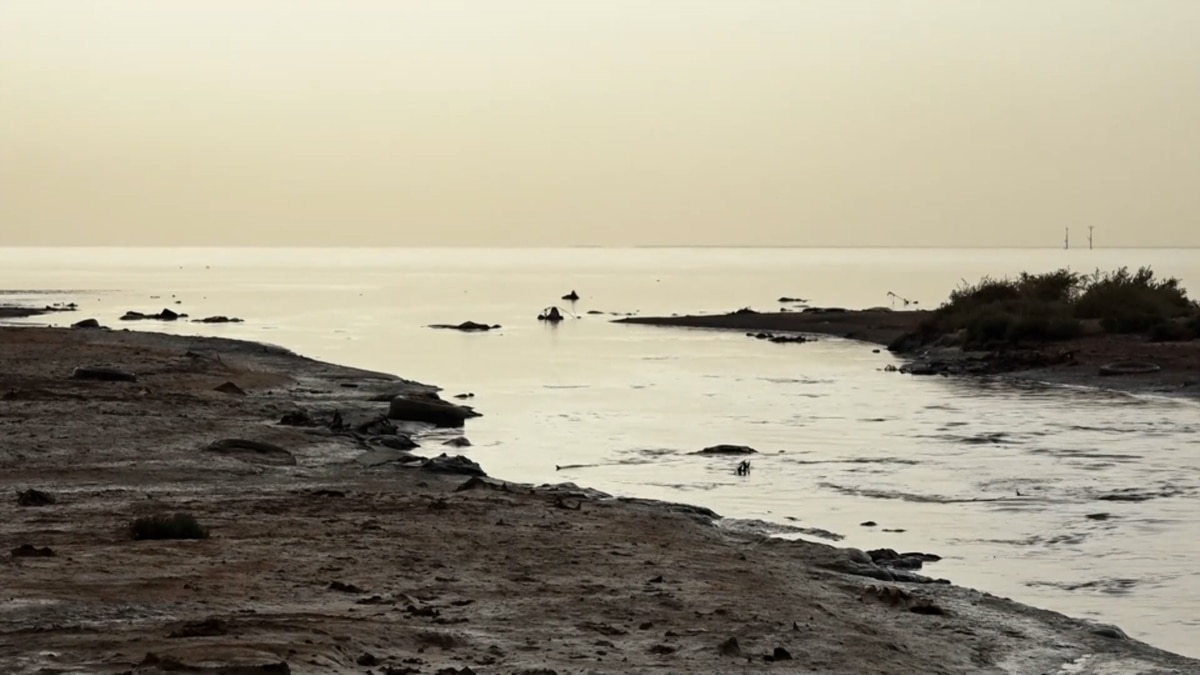 COP29 Brings Focus On Azerbaijan’s Pollution Of The Caspian Sea [Video]