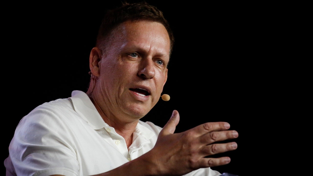 Peter Thiel says Trump, Vance are right that immigration drives up housing costs [Video]