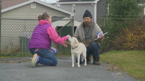 Tammy Jakeman speaks publicly after former NDP candidates social media posts surface [Video]