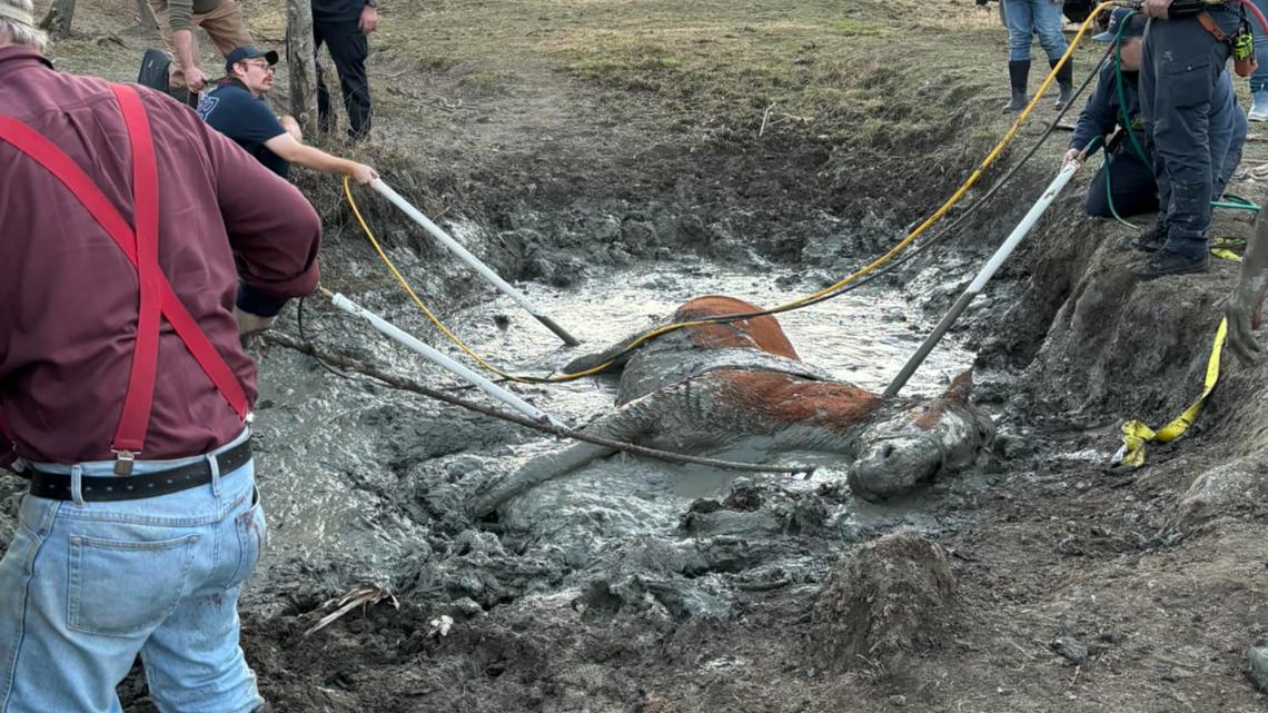 Kennebunk, Maine horse rescued from mud [Video]