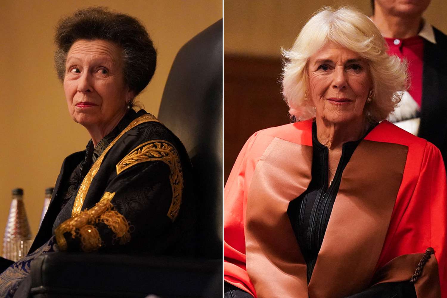 Princess Anne Wont Let Queen Camilla Break Royal Protocol [Video]