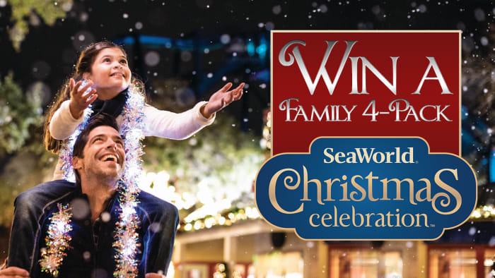 Want to win a family four-pack of tickets to SeaWorlds Christmas Celebration? Heres how you can try [Video]