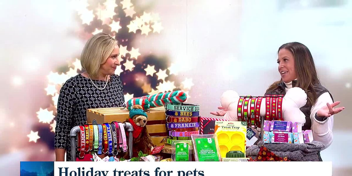 Special holiday treats for pets [Video]