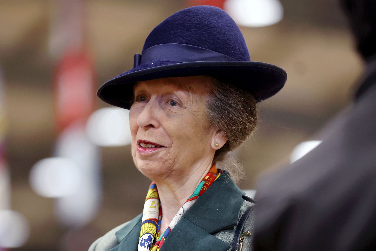 Princess Anne, Despite Hospitalization, Is Still the Hardest Working Royal [Video]