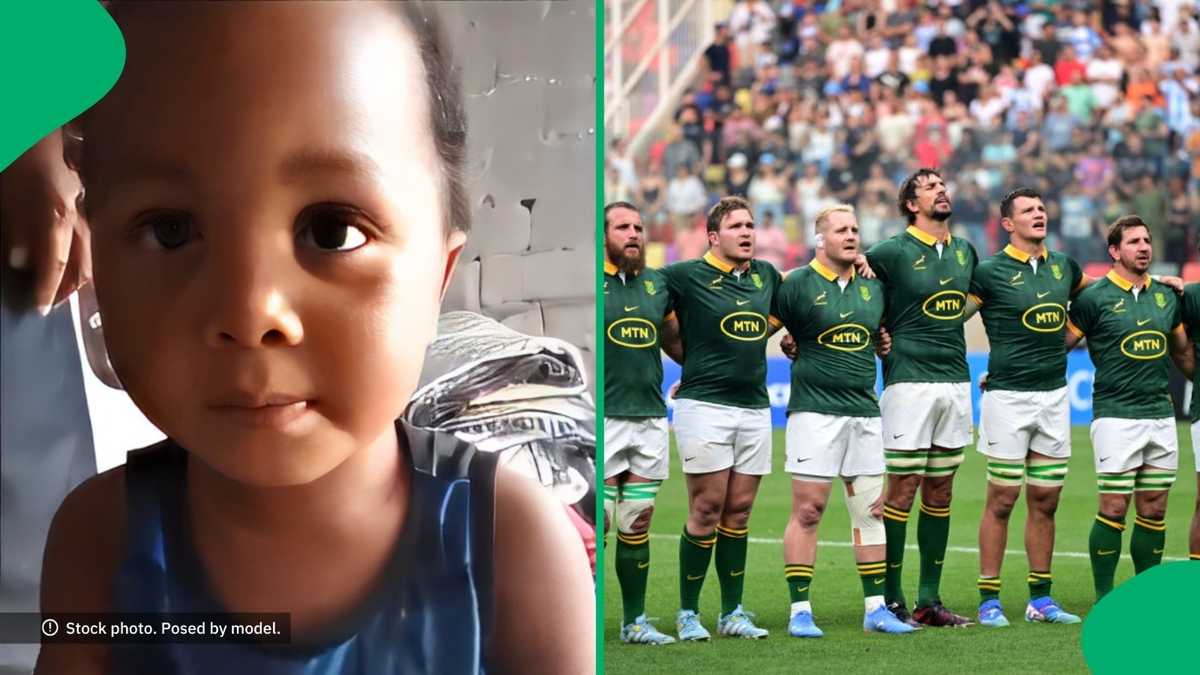 So Cool: Toddler Names Springboks Squad Flawlessly, Johan Erasmus Blown Away [Video]