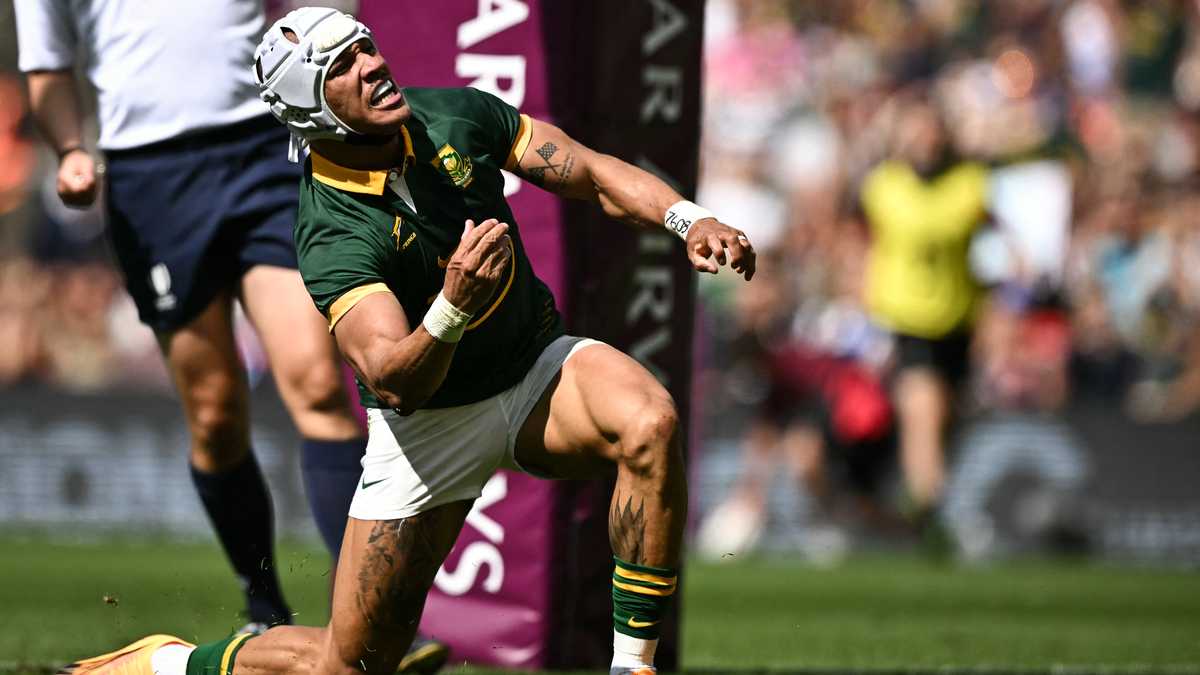 Video: South Africans Groove to Hop Hop Spinnekop Viral Dance After Boks’ 45-12 Victory! [Video]