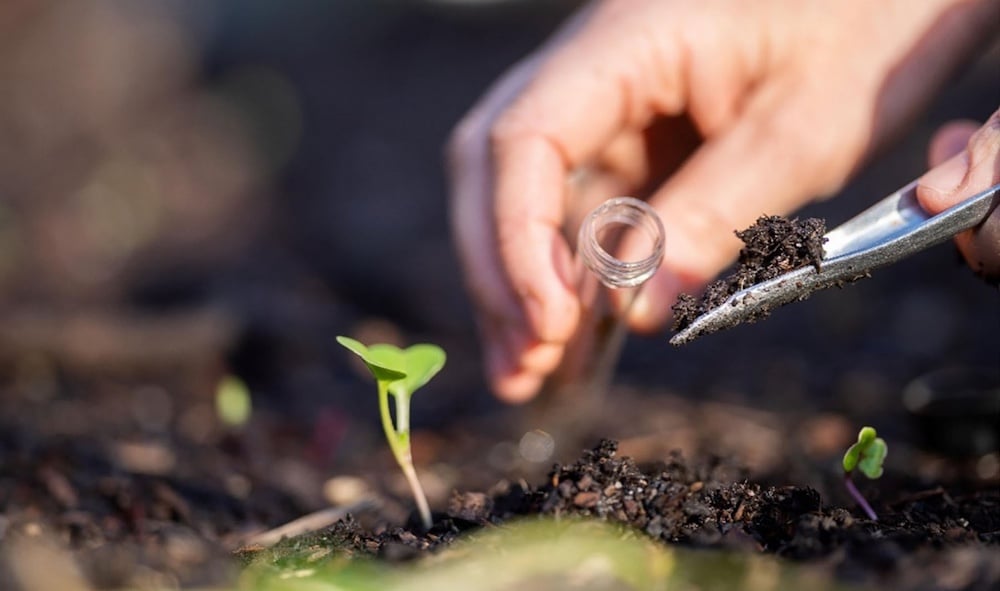 Strengthening Soil and Plant Health with Acadian Plant Health Biostimulants [Video]