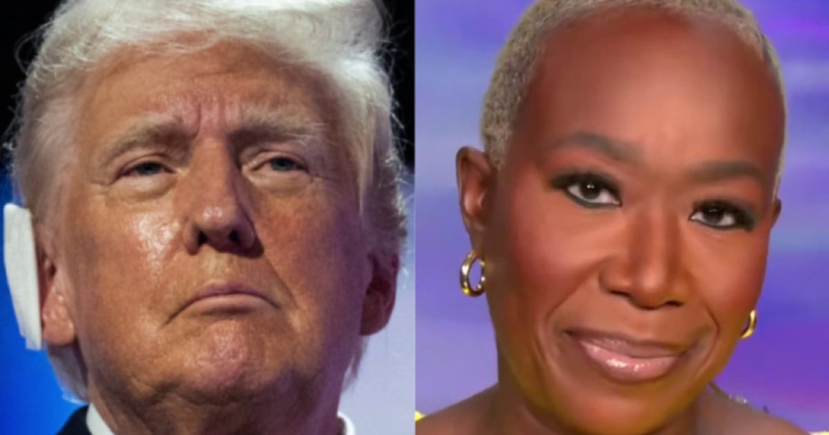 Trump cant invent a federal agency Joy Reid says of DOGE [Video]