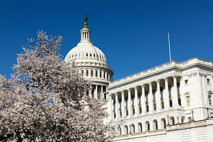 Meet the new Texans in Congress [Video]