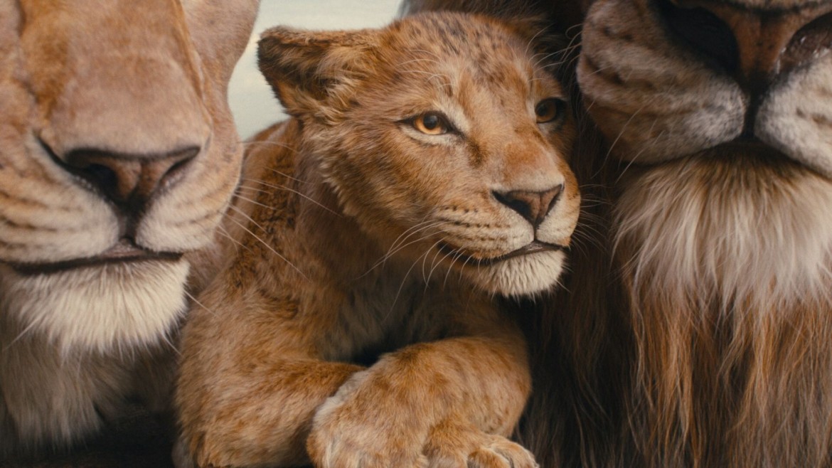 News & Views – Mufasa: The Lion King plus more new films in cinemas this December – News [Video]