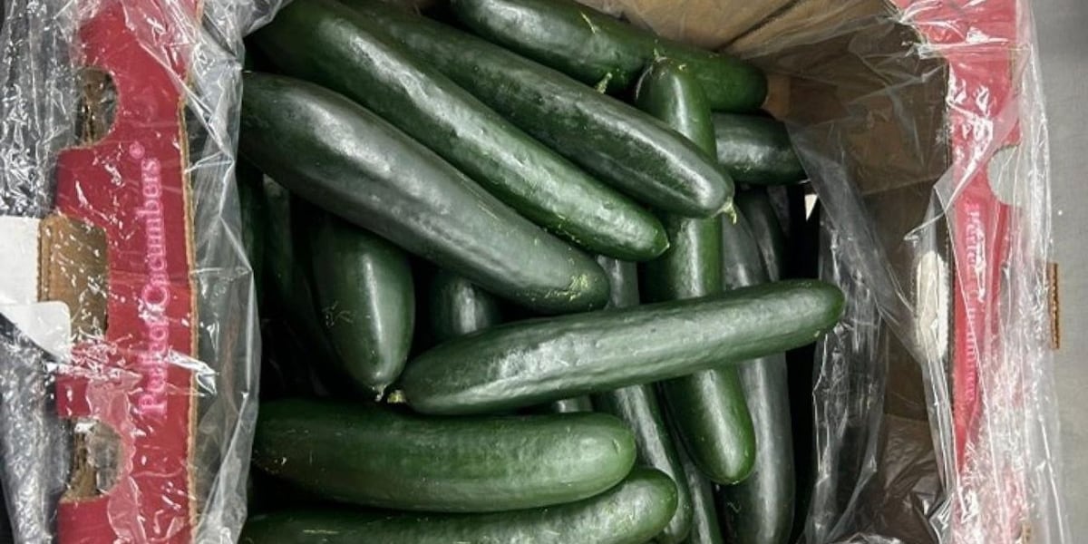 Cucumbers recalled due to salmonella concerns [Video]