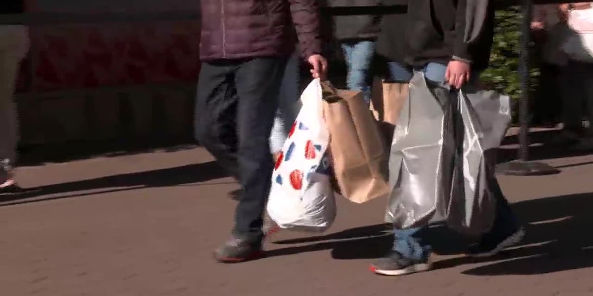 Holiday shopping season is here [Video]