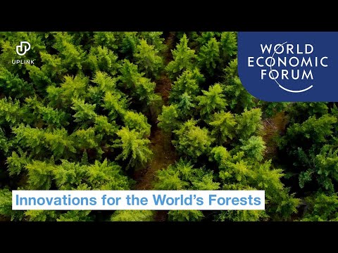 Doubling Forest Cover in a Generation  Design Exchange [Video]