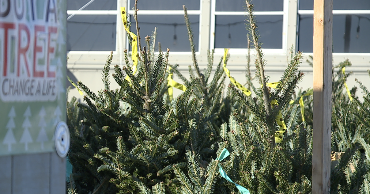 In South Baltimore, buy a tree and change a life [Video]