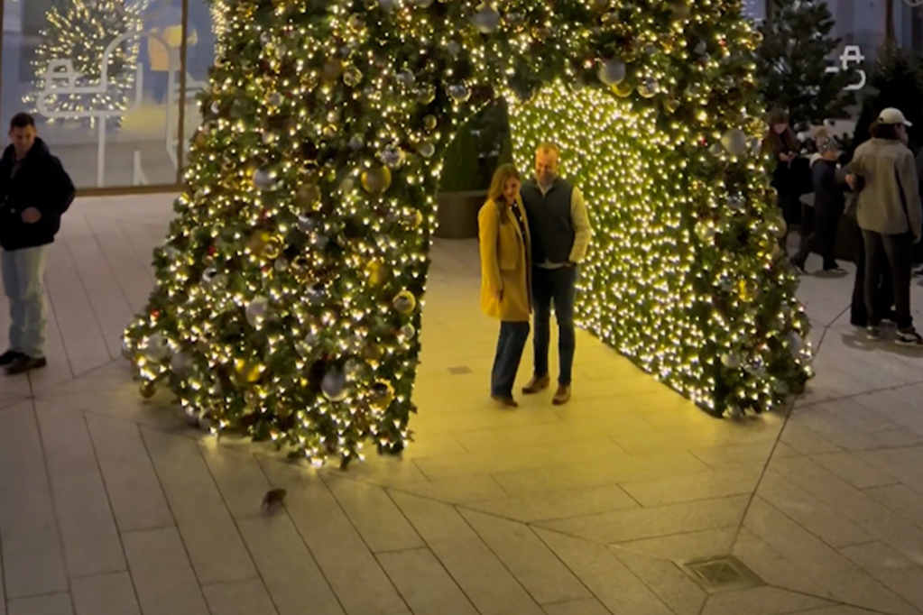 NYCs Proposal Rat photobombs Christmassy engagement (Video)