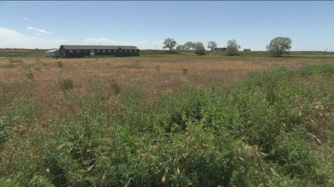 BLM moves forward with Lava Ridge Wind Project releasing final decision [Video]