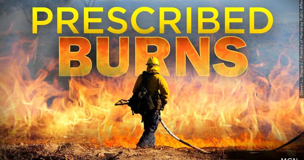 Prescribed burn near Platina continues through Dec. 16 | News [Video]