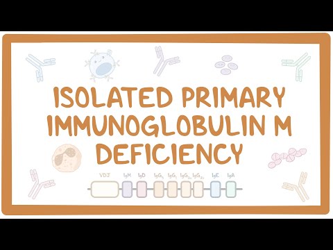 Isolated primary immunoglobulin M deficiency [Video]