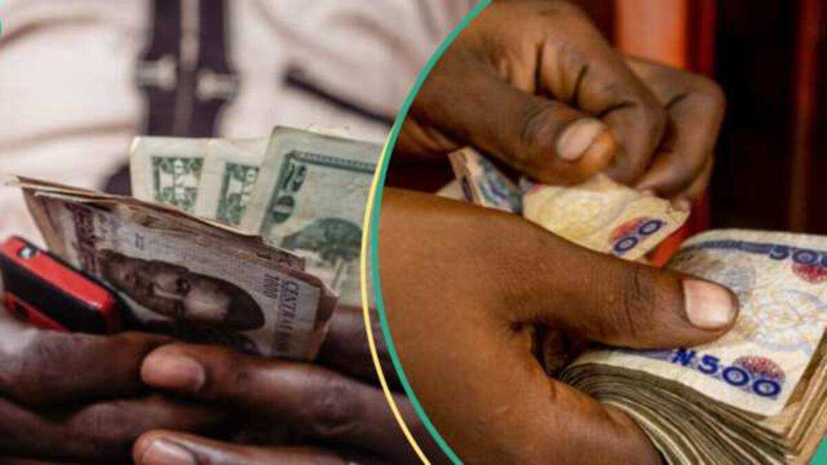 Expert Further Rise: Experts Predict New Exchange Rate as Naira Gains N300 [Video]