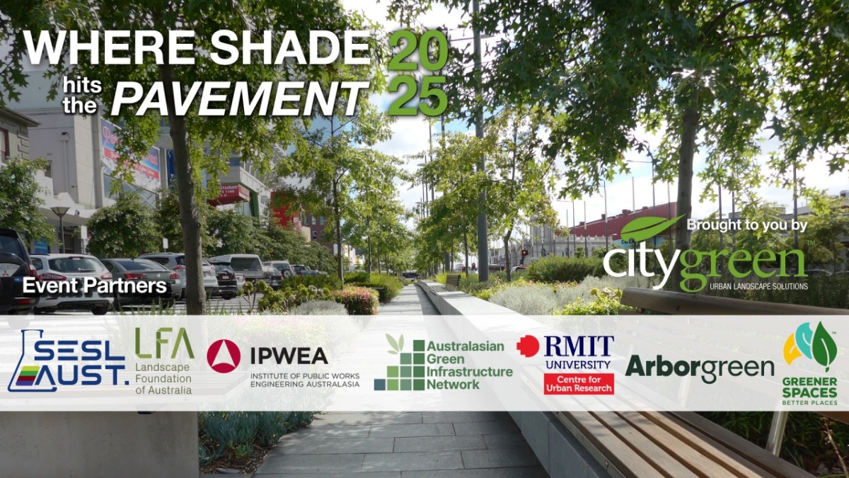 Where Shade Hits the Pavement 2025 [Video]