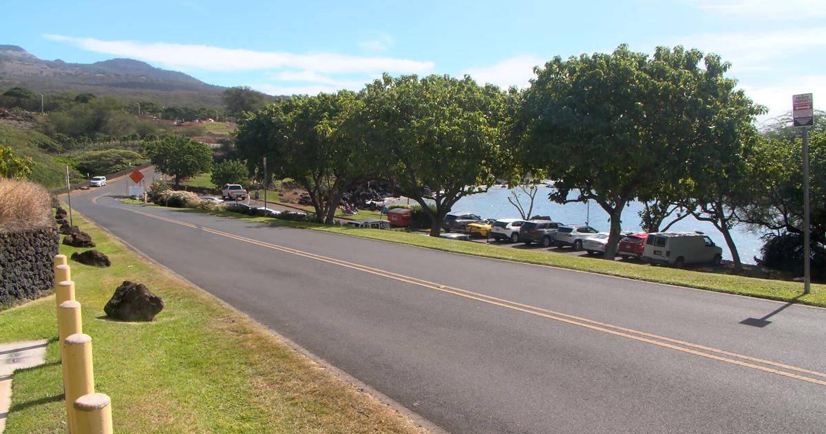 Crews replace kiawe trees at Makena Landing with native ones | News [Video]