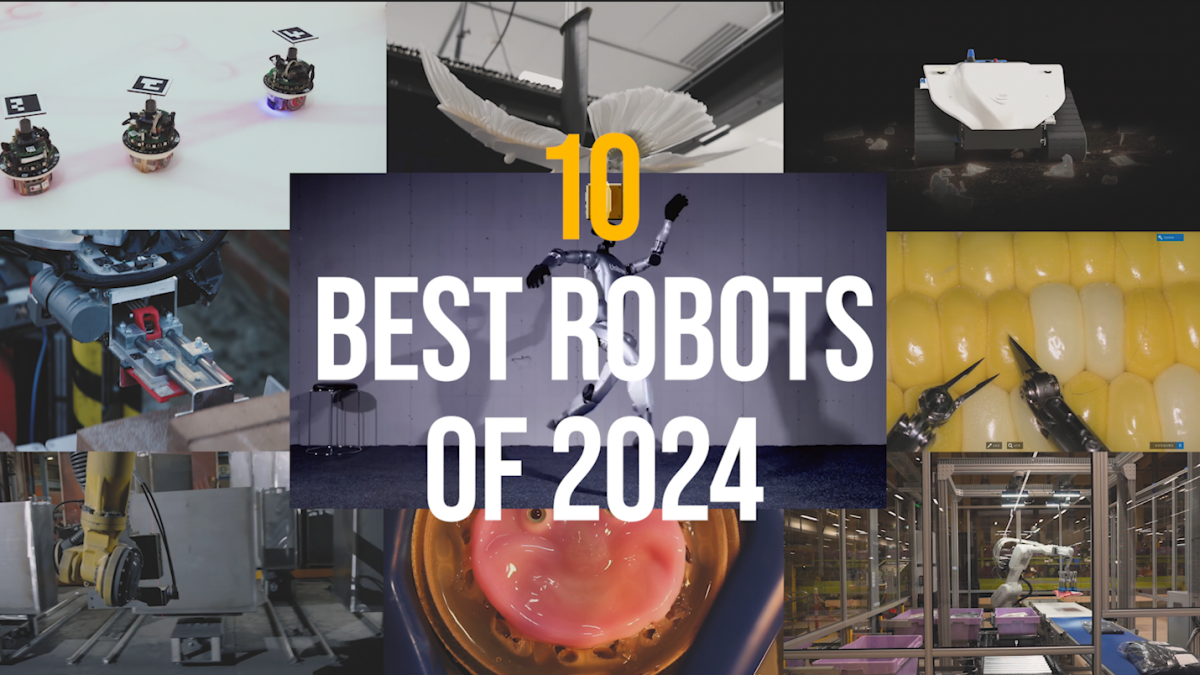 The 10 best robots of 2024 [Video]