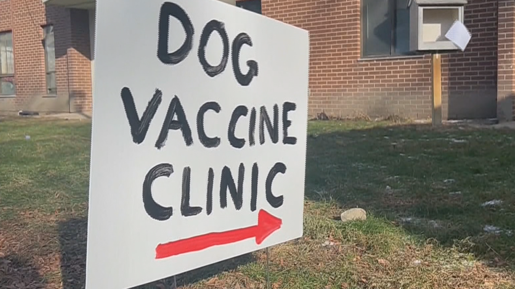 Parvovirus death toll rises to 14 dogs [Video]