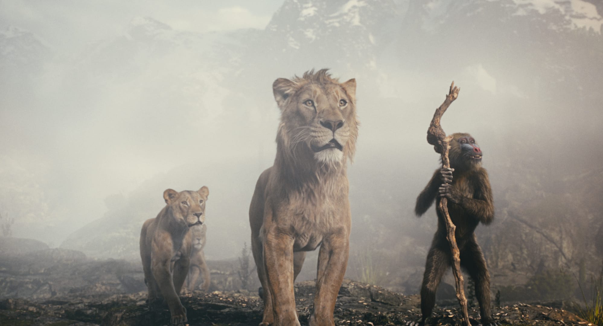 Mufasa: The Lion King Review | A Prequel That’s a Small Step Above [Video]