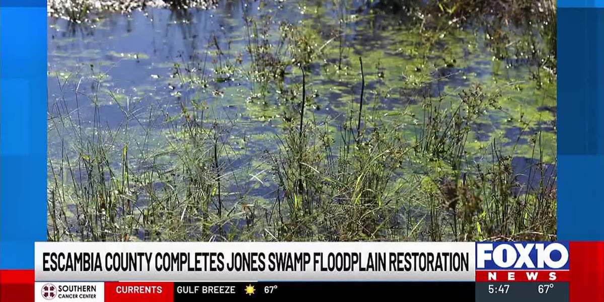 Escambia County completes Jones Swamps floodplain restoration project in Florida [Video]