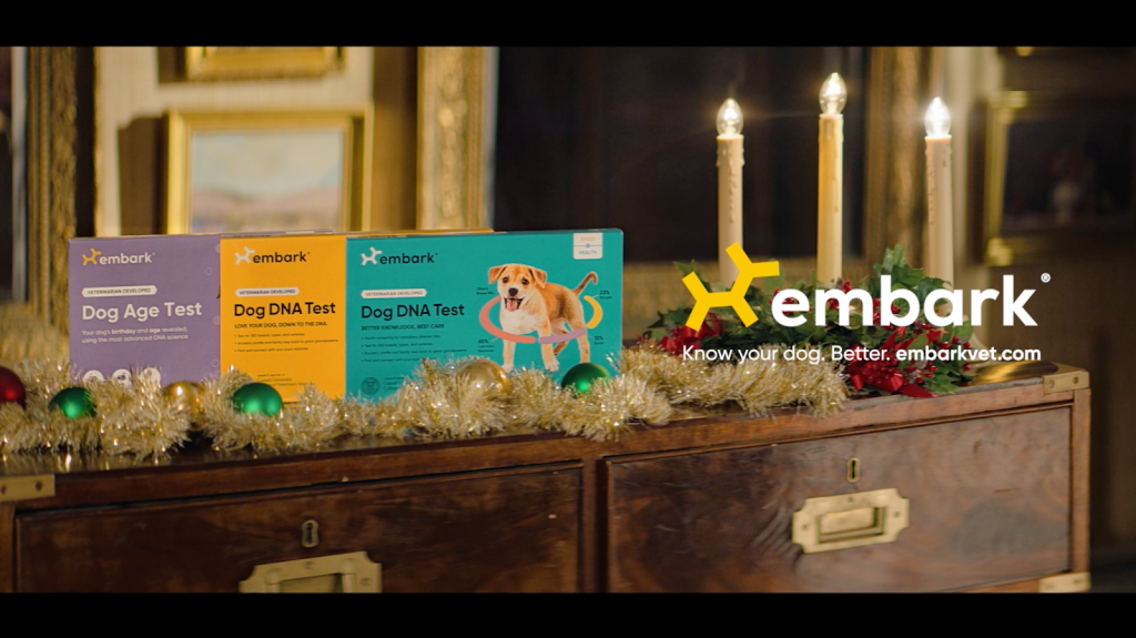 Know Your Dog Better With the Gift of Embark  Marketing Communication News [Video]