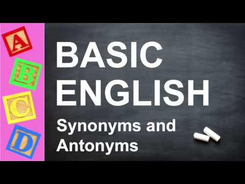 Basic English Lessons: Understanding & Learning English [Video]