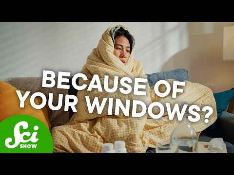 Are Energy-Efficient Windows Bad For Us? [Video]