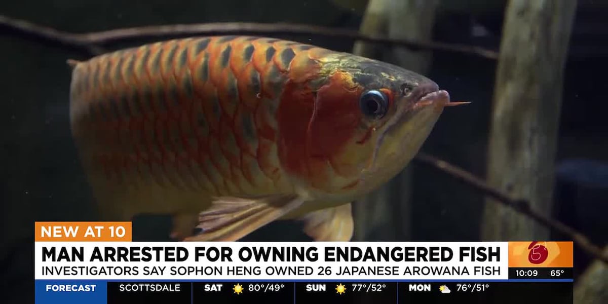 Arizona man charged with possessing endangered fish [Video]