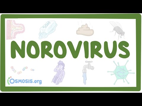 Norovirus- causes, symptoms, diagnosis, treatment, pathology [Video]