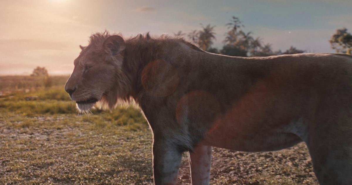 Everything the Light Touches is Your Canvas: Sharpie Celebrates the Circle of Creativity with Disney’s Mufasa: The Lion King–In Theaters Now | PR Newswire [Video]