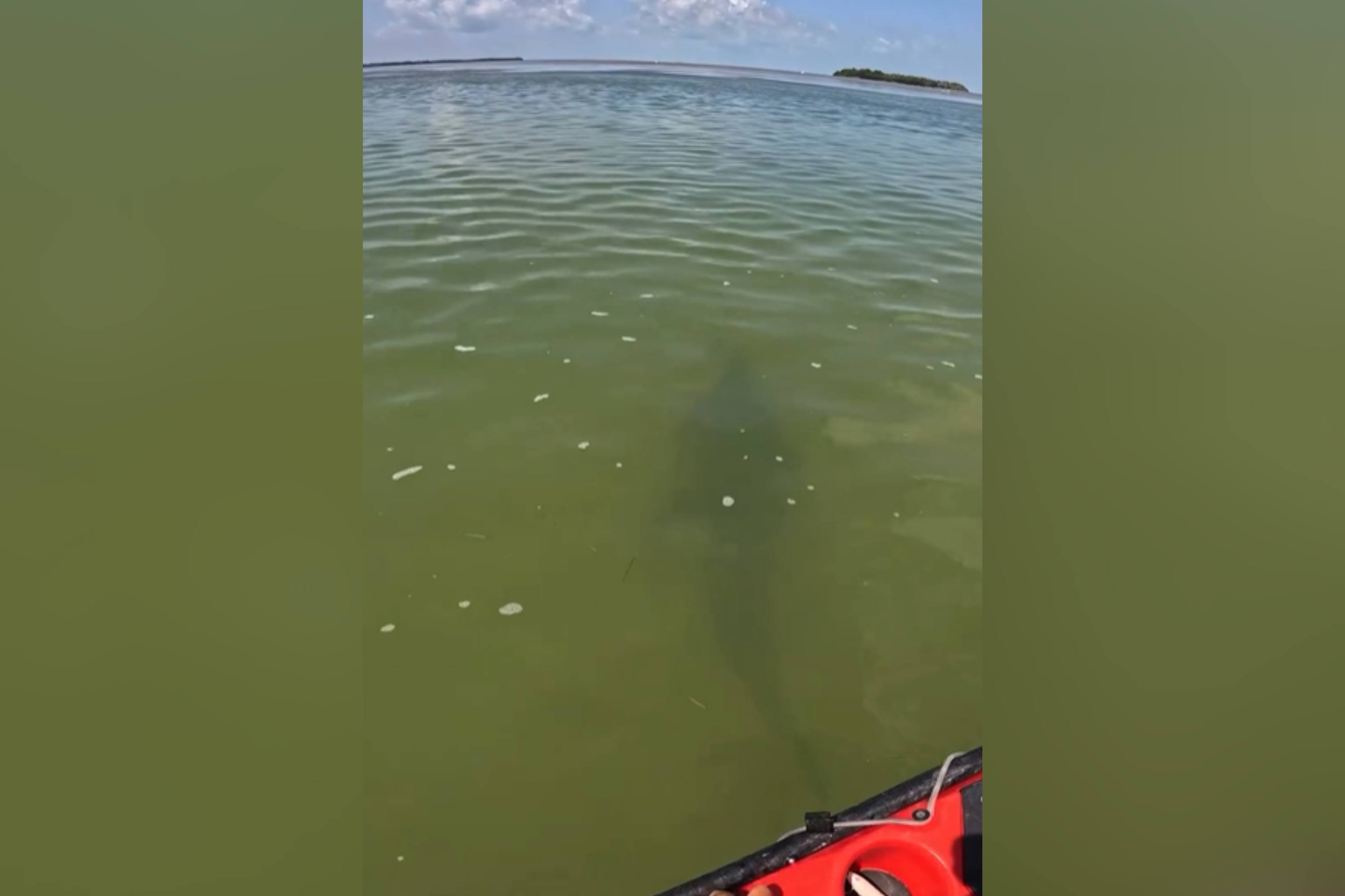 Man Enjoys Peaceful Kayaking Trip, Then Sees What’s Lurking in the Water [Video]