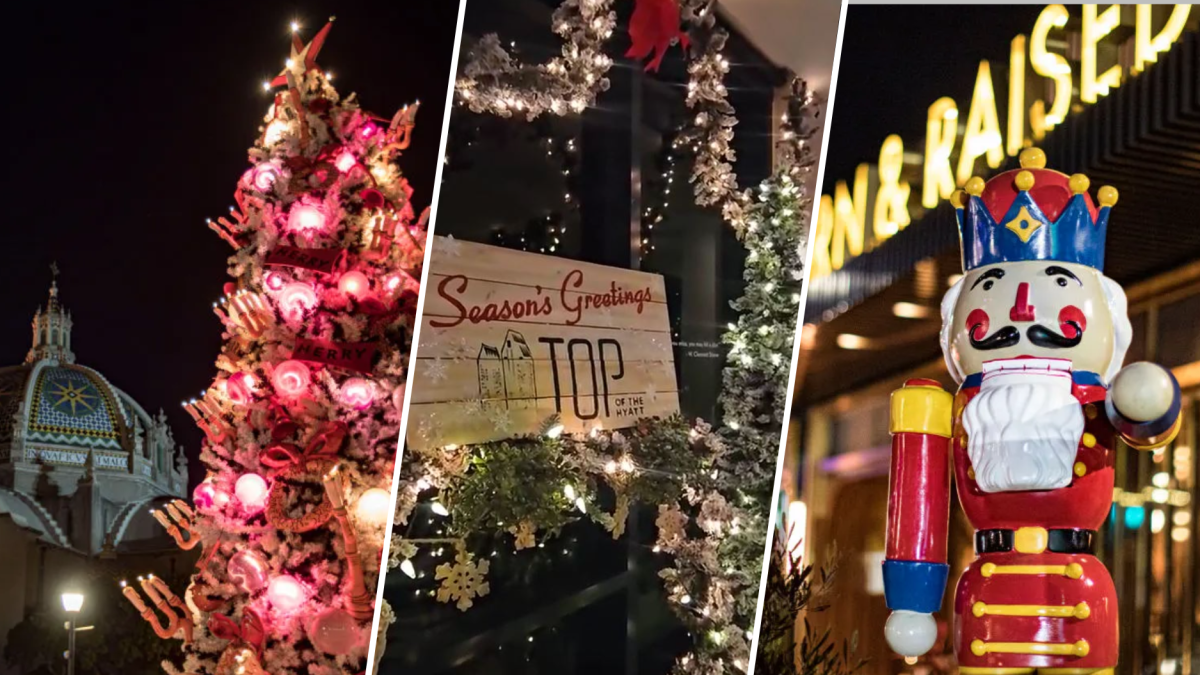 Where to find Christmas lights in San Diego County  NBC 7 San Diego [Video]