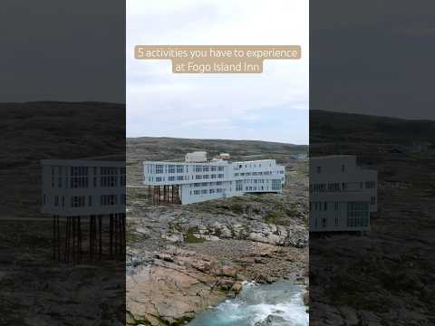 Must try activities while staying at Fogo Island Inn, Newfoundland [Video]