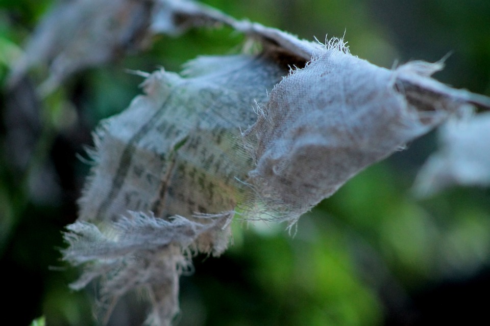 Groundbreaking real-time lung scans to revolutionize respiratory health [Video]