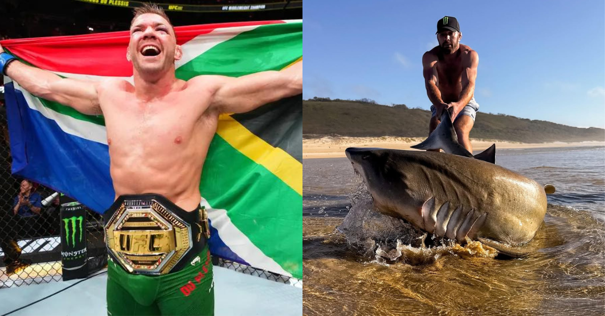 UFC Champ Dricus Du Plessis Takes Training To Extreme Depths: Grapples With Shark [Video]