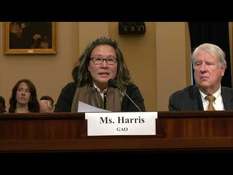 GAO Testimony: Veterans Affairs Need to Address Continuing IT Management Challenges [Video]