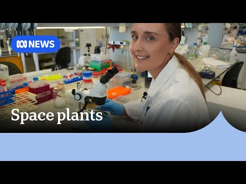 Scientists redesigning plants for astronauts to grow and eat in space | ABC News [Video]