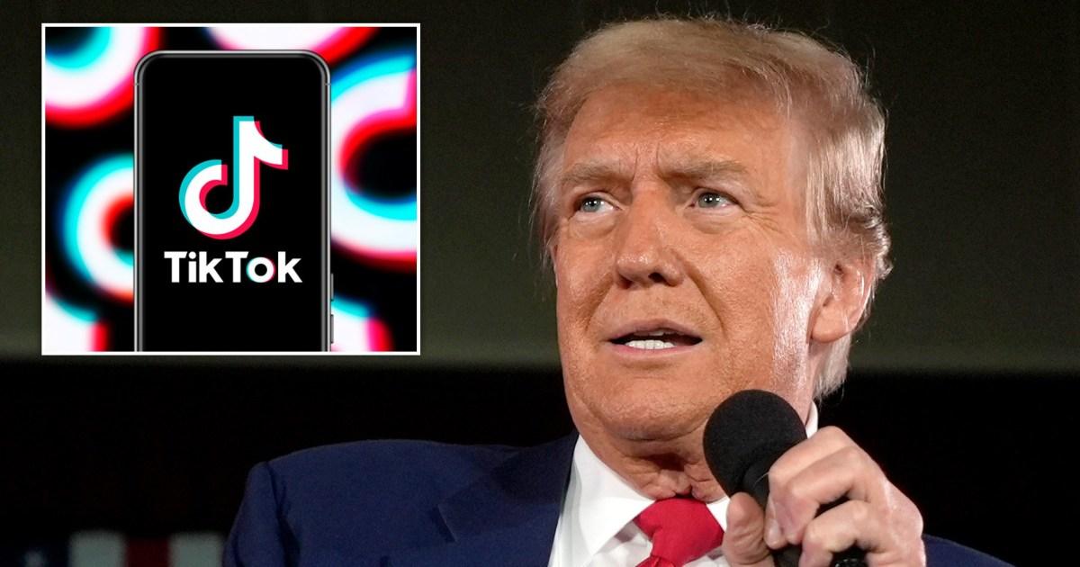 Trump asks highest court to block TikTok ban so he can find resolution | News US [Video]