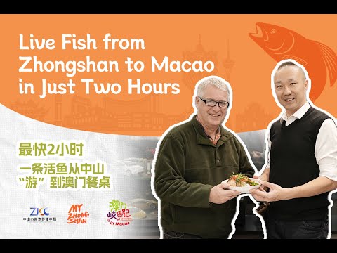 Live Fish from Zhongshan to Macao in Just Two Hours [Video]