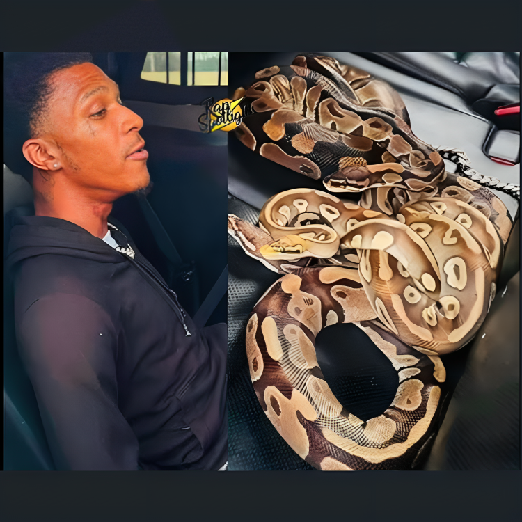 NBA Youngboys Brother Caught in Texas with Firearm and Snakes [Video]