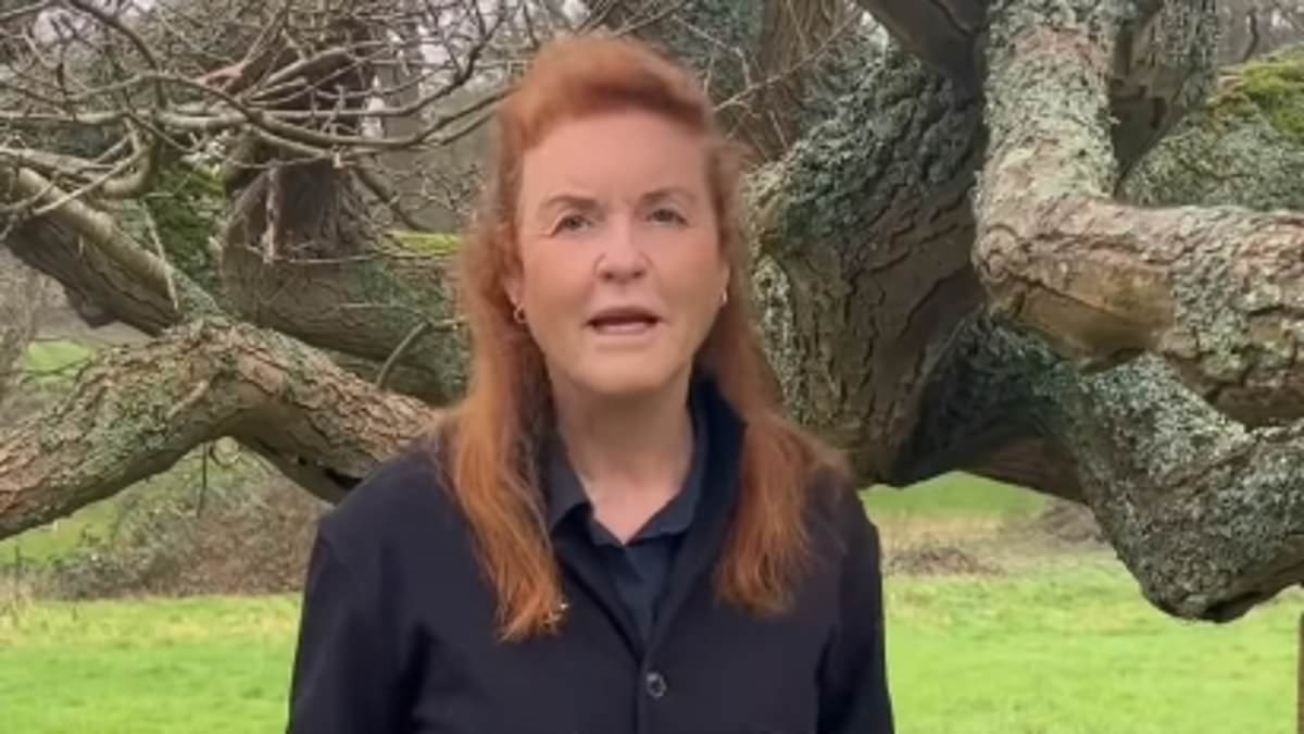 Sarah Ferguson posts paid partnership clip on Instagram plugging mental health app – after King Charles ‘cut off’ Prince Andrew [Video]