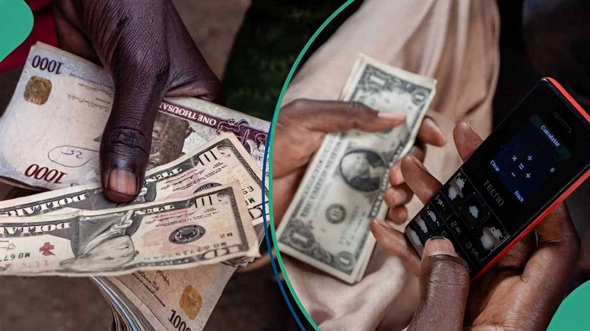 Naira Ends 2024 on a Negative Note Against US Dollar in Forex Markets [Video]